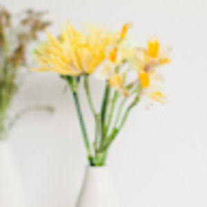 Meet your Posher, Eva